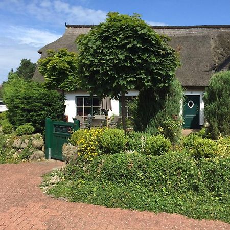 Birkenstrasse 10 Fischerhus Zingst Exterior foto
